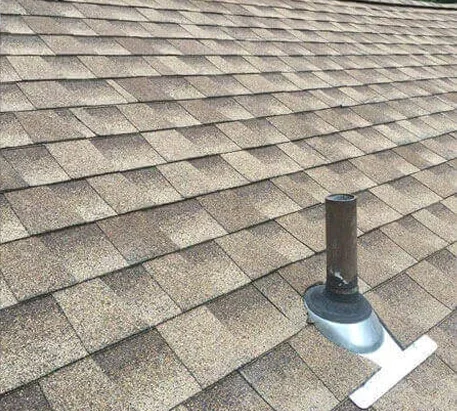 roof maintain